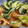 El cooksnap de Fernando Caballer Carbonell cuando hizo Cena ligera y saludable.