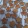 Cooksnap dari dewi untuk resep Roti Kacang / Kue Kering Kacang Tanah (cookies)