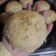 El cooksnap de Marianela cuando hizo Pan casero ideal para hacer hamburguesas 🙂.