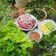 Cooksnap của Nguyễn Hoàng Yến khi họ làm theo món Thịt bò nhúng dấm