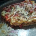 El cooksnap de ANA KAMBAL cuando hizo Lasaña de camarones en salsa roja.