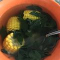 Cooksnap dari Hesty Permatasari untuk resep Sayur bening daun katu