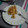 El cooksnap de Olga Fuentes cuando hizo Crepes de avena. Receta saludable para diabetes.