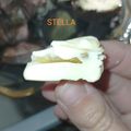Cooksnap από 🍝🍕miss Marmelade(Στέλλα+Βαλέριο)🍩🥐 στη συνταγή Σοκολατάκια με αποξηραμένα φρούτα