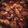 Madhuchhanda Guha's cooksnap of when they made ফুলকপির রসা (fulkopi rosa recipe in Bengali).
