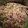 Dan's cooksnap of when they made Lazy Stir Fry.
