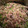 Dan's cooksnap of when they made Lazy Stir Fry.