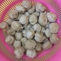 Cooksnap dari yeyen tjikmal untuk resep Bakso sapi