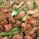 Cooksnap dari Fariza Amelia untuk resep Chicken Teriyaki
