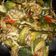 Cooksnap dari Ayu Rahayu untuk resep Tumis terong lalap teri medan
