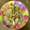 小姐老師 的 [蔬食便當］金沙杏鮑菇 cooksnap