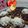 Cooksnap dari Tari Gunawan untuk resep Donat lembut, empuk, menul2, untuk pemula..