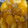 El cooksnap de Esther cuando hizo Estofado de pavo con patatas.