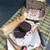 Cooksnap dari Ummu Ahya untuk resep Es krim Oreo ala es krim Singapur