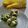 Cooksnap dari Ummu Chelia untuk resep Bolu kukus pandan asli anti gagal