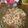 Cooksnap dari Dinda Verella untuk resep Mie rebus
