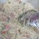 Cooksnap dari B I A untuk resep Bihun goreng tanpa kecap