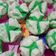 Cooksnap dari Azima Adillah untuk resep Bolu kukus mekar sprite anti gagal