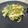 El cooksnap de Felipe Garrido cuando hizo Tiras de pota con ajo y perejil.