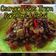 Cooksnap dari Ludfiyanti untuk resep Osengan Saos Tiram Pare,teri & petai