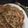 Noopur Alok Vaishnav's cooksnap of when they made ગાર્લિક પરાઠા(Garlic Paratha recipe in Gujarati).