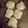 El cooksnap de Lucia Bernhartd cuando hizo Galletitas de Manteca o BUTTER COOKIES.