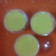 Cooksnap dari Penikmat Sambal untuk resep Puding jagung