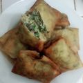 Cooksnap dari Rara Deija untuk resep Martabak smoke beef