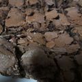 El cooksnap de Mica cuando hizo BROWNIES receta aguila.