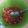 Cooksnap dari heca wahyuni untuk resep Ikan Kakap Sambal Dabu Dabu