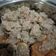 Cooksnap dari Endang Lestari untuk resep Pentol Kriwil