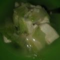 Cooksnap dari C untuk resep sayur tahu bening