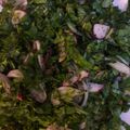 صورة من طـبخآت يآسـمـين🌹🌷، شاركها بعد تجربة وصفة سلطة جرجير