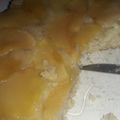 El cooksnap de Jennii 1998 cuando hizo Torta de Manzana-Banana invertida Vegana 🍎🍌❤.
