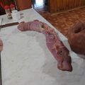 El cooksnap de Carmen ojeda cuando hizo Arrollado de malaya.