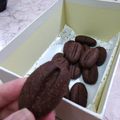 صورة من أم سلطان، شاركها بعد تجربة وصفة كوكيز حبوب البن ☕️