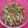 Vaishakhi Vyas's cooksnap of when they made ગુવારનું શાક (Guvar Shak Recipe In Gujarati).