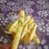 Cooksnap dari Daday Huzaifah untuk resep Stik Kentang Keju (Cemilan Anak)