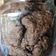Cooksnap dari Mirah Adi untuk resep Oatmeal Choco Cookies ala Didi (Oat Cookies)