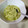 El cooksnap de Miguelo Ferrer Alberich cuando hizo Salsa al pesto de calabacín 💚.