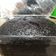 Cooksnap dari Leila untuk resep Steamed chocolate cake