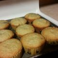 kandyceedmondson92's cooksnap of when they made Devilish Blueberry Muffins.