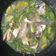 Cooksnap dari citta untuk resep Sop Ikan Khas Serang Banten