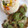 El cooksnap de rabm9203@gmail.com cuando hizo Filete de pescado con pesto de cilantro y arroz frito.