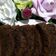 Cooksnap dari Mrs LOUIS ( Nana Pastry) untuk resep Cake Sarang Semut