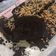 Cooksnap dari makayla untuk resep Brownies Keto Putih Telur