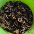 Cooksnap dari Alnia Puastri Saras untuk resep Cumi Tinta Hitam