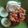 Cooksnap dari Mamy Harfin untuk resep Ayam geprek