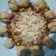 Cooksnap dari Yulinar Arlin untuk resep Pizza (kilat,anti gagal,super empuk,no proofing,no ulen,no egg)