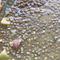 El cooksnap de Fernando de la P cuando hizo Lentejas con chorizo.